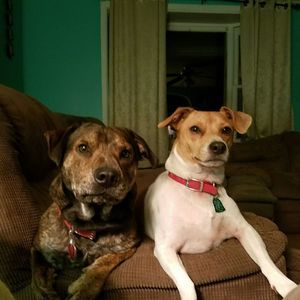 Meet your Posher, Billy